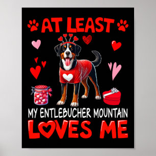 Zumindest liebt mein Entlebucher Mountain Dog mich Poster