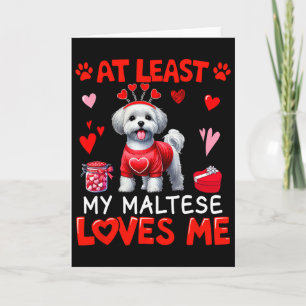 Zumindest liebt mein Malteser mich Valentins-Singl Karte