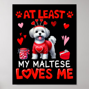 Zumindest liebt mein Malteser mich Valentins Singl Poster