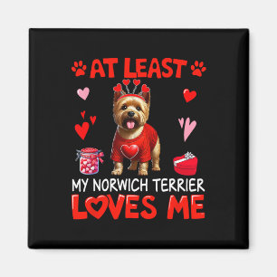 Zumindest mein Norwich Terrier, der mich am Valent Magnet