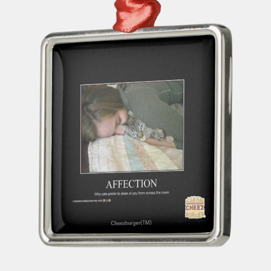 Zuneigung Silbernes Ornament (Links)