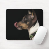 Zunge aus Schwarz und Weiß Rat Terrier Mousepad (Mit Mouse)