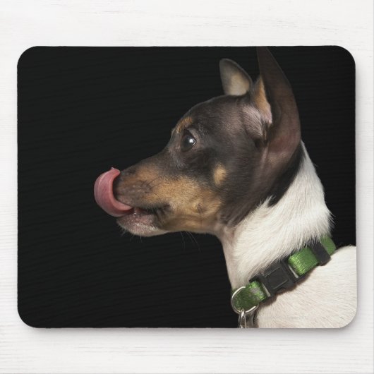 Zunge aus Schwarz und Weiß Rat Terrier Mousepad (Vorne)