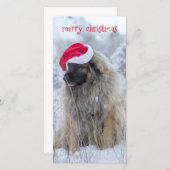 Zunge heraus Leonberger Feiertagskarte (Vorne/Hinten)