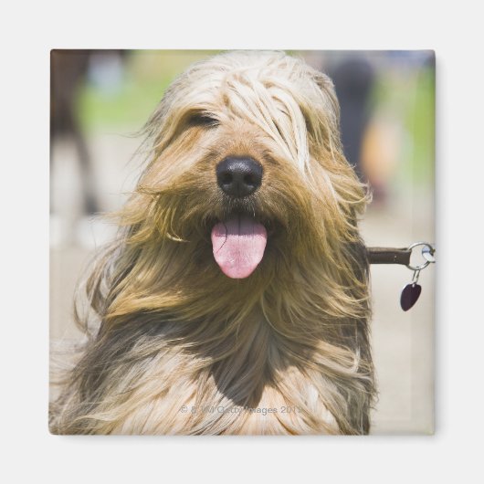 Zunge, langes Haar, Portrait Magnet (Vorne)