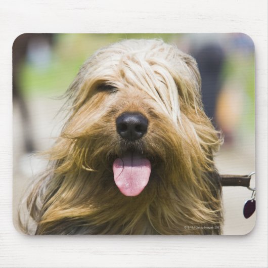 Zunge, langes Haar, Portrait Mousepad (Vorne)