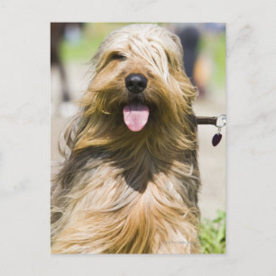 Zunge, langes Haar, Portrait Postkarte