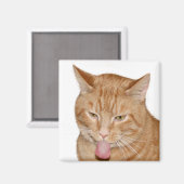 Zunge Magnet (Vorderseite/Rückseite)