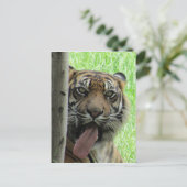 Zunge Postkarte (Stehend Vorderseite)