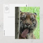 Zunge Postkarte (Vorne/Hinten)