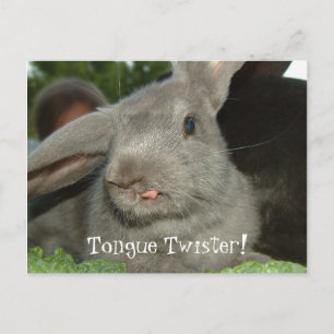 Zunge Twister! Postkarte