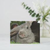 Zunge Twister! | Postkarte (Stehend Vorderseite)