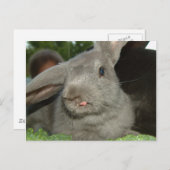 Zunge Twister! | Postkarte (Vorne/Hinten)