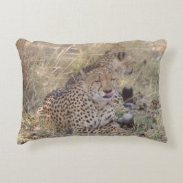 Zungenpilz Dekokissen