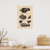 Zuni fetiches poster (Küche)