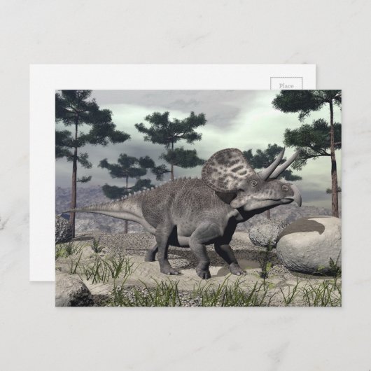 Zuniceratops dinosaur - 3D rendern Postkarte (Vorne/Hinten)