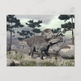 Zuniceratops dinosaur - 3D rendern Postkarte