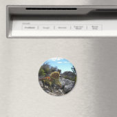 Zuniceratops Dinosaur Magnet (In Situ (Geschirrspüler))