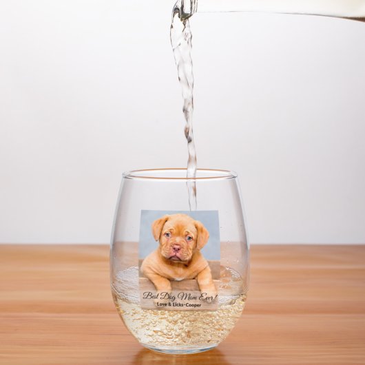 Zur besten Hunde-Mama je benutzerdefiniertes Foto Weinglas Ohne Stiel