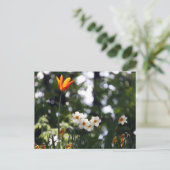 Zur Erinnerung Postkarte (Stehend Vorderseite)