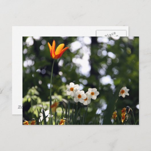 Zur Erinnerung Postkarte (Vorne/Hinten)