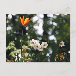 Zur Erinnerung Postkarte