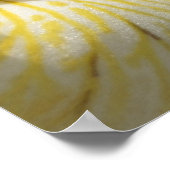 Zur Liebe von Iris Poster (Ecke)