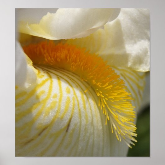 Zur Liebe von Iris Poster (Vorne)