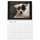 Zur Liebe von Katzen Kalender (Feb 2027)