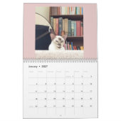 Zur Liebe von Katzen Kalender (Jan 2027)