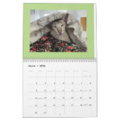 Zur Liebe von Katzen Kalender (Mär 2026)