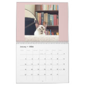 Zur Liebe von Katzen Kalender (Jan 2026)