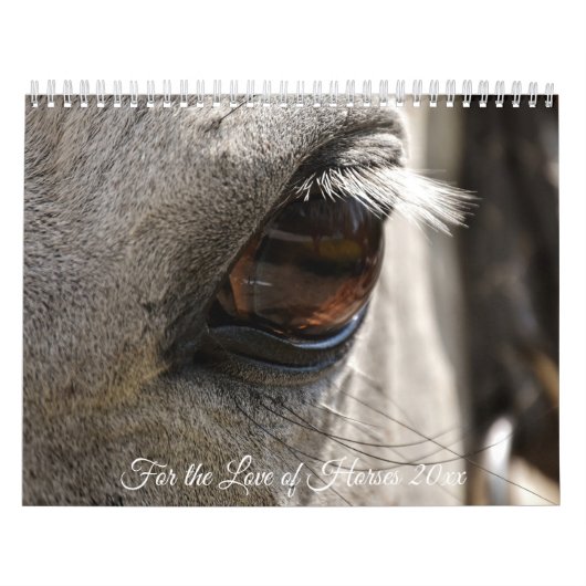 Zur Liebe von Pferden Kalender (Titelbild)