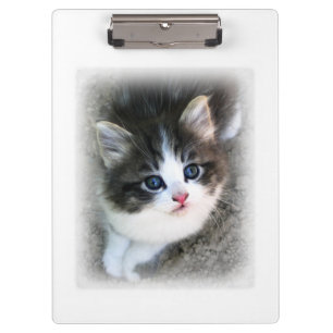 Zur Liebe von streunenden Katzen Klemmbrett