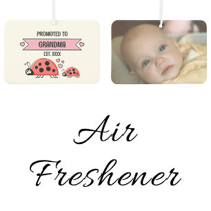 Zur Oma beförderte Marienkäfer Foto pink Autolufterfrischer