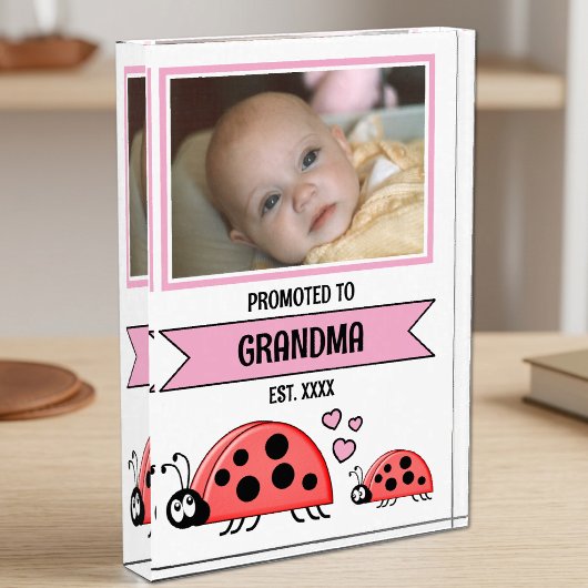 Zur Oma beförderte Marienkäfer rosa Fotoblock