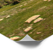 Zur Sonne gehen Poster (Ecke)