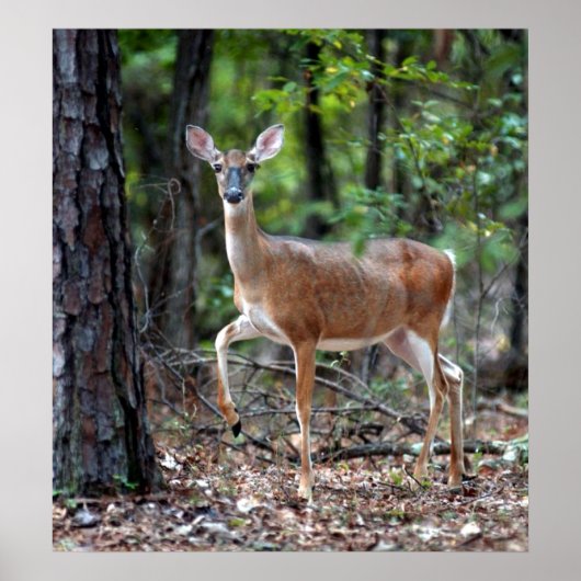 Zur Warnung Poster (Vorne)