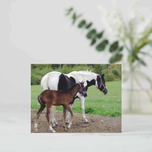 zura3 postkarte (Stehend Vorderseite)