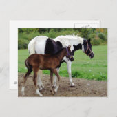 zura3 postkarte (Vorne/Hinten)