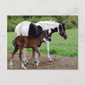 zura3 postkarte (Vorderseite)