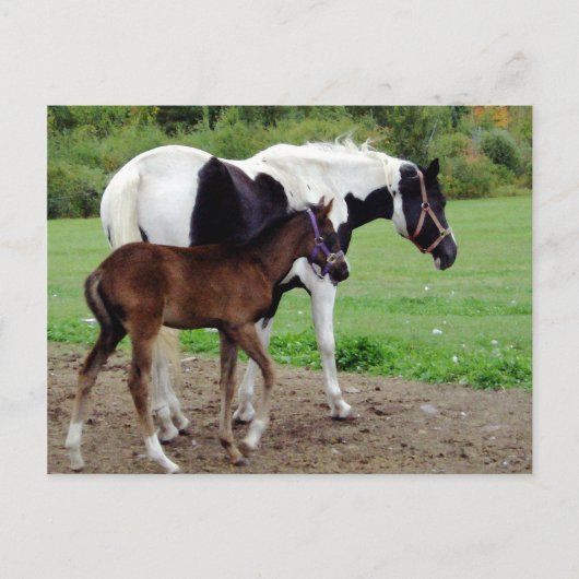 zura3 postkarte (Vorderseite)