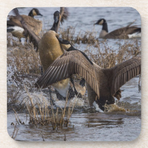 Zurück aus getränkeuntersetzer