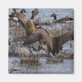 Zurück aus magnet (Vorne)