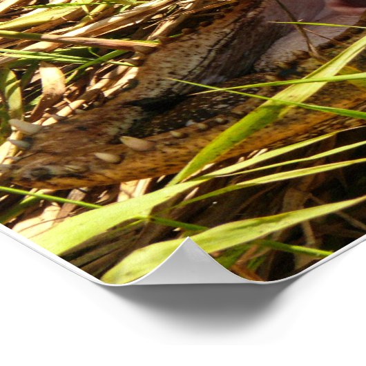 Zurück aus poster (Ecke)