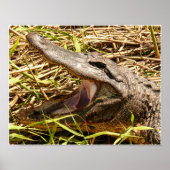 Zurück aus poster (Vorne)