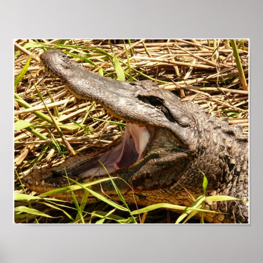 Zurück aus poster (Vorne)