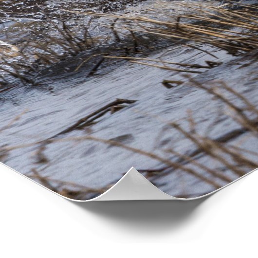 Zurück aus poster (Ecke)