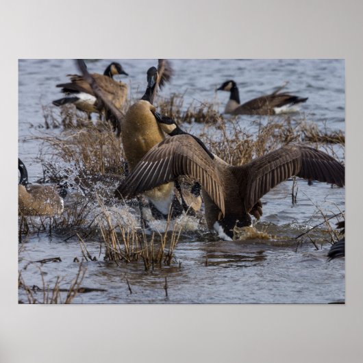 Zurück aus poster (Vorne)