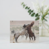 Zurück aus postkarte (Stehend Vorderseite)